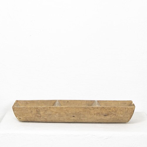 Dough Riser
